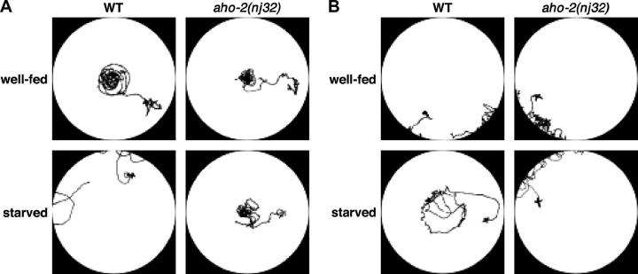 Figure 11.—