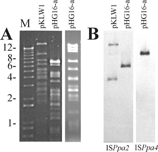 FIG. 9.