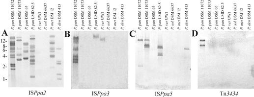 FIG. 8.