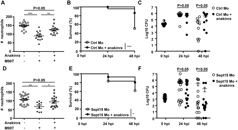 Fig 5