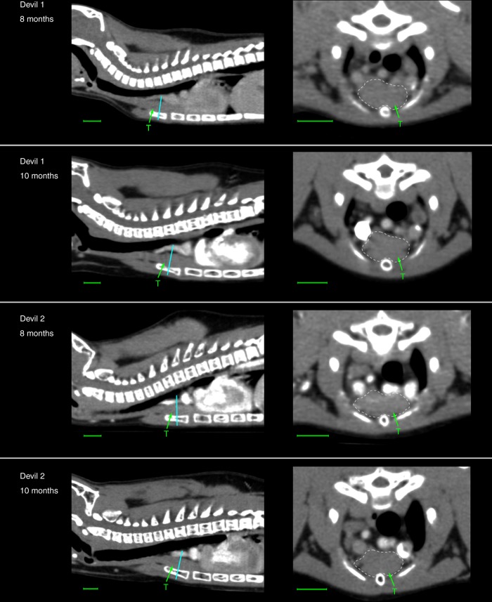 Fig. 3