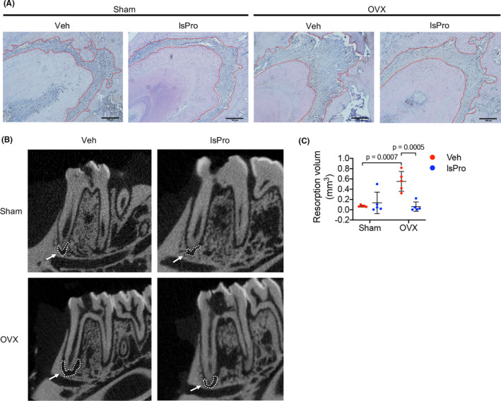 FIGURE 6