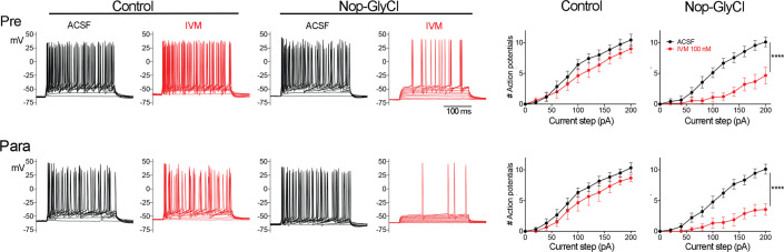 Figure 2—figure supplement 1.