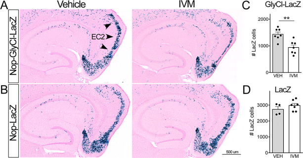 Figure 1—figure supplement 1.