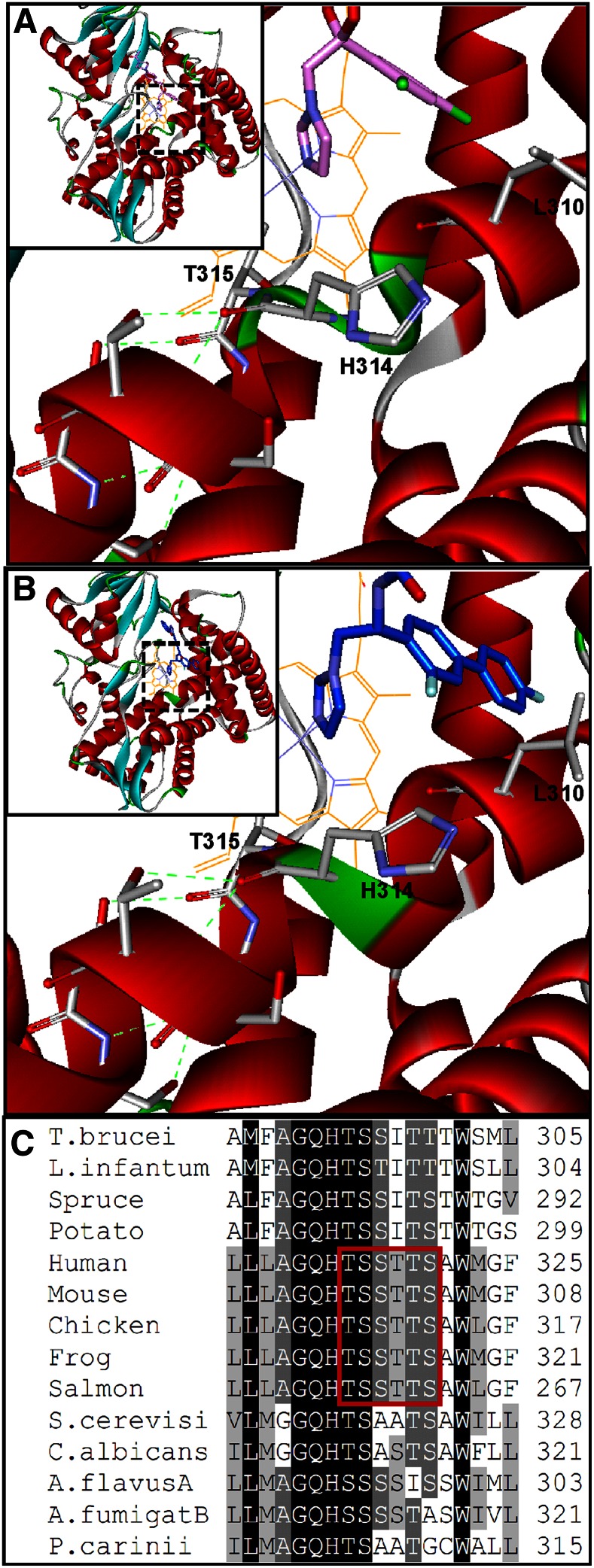 Fig. 7.