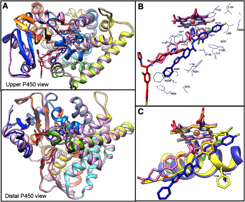 Fig. 6.