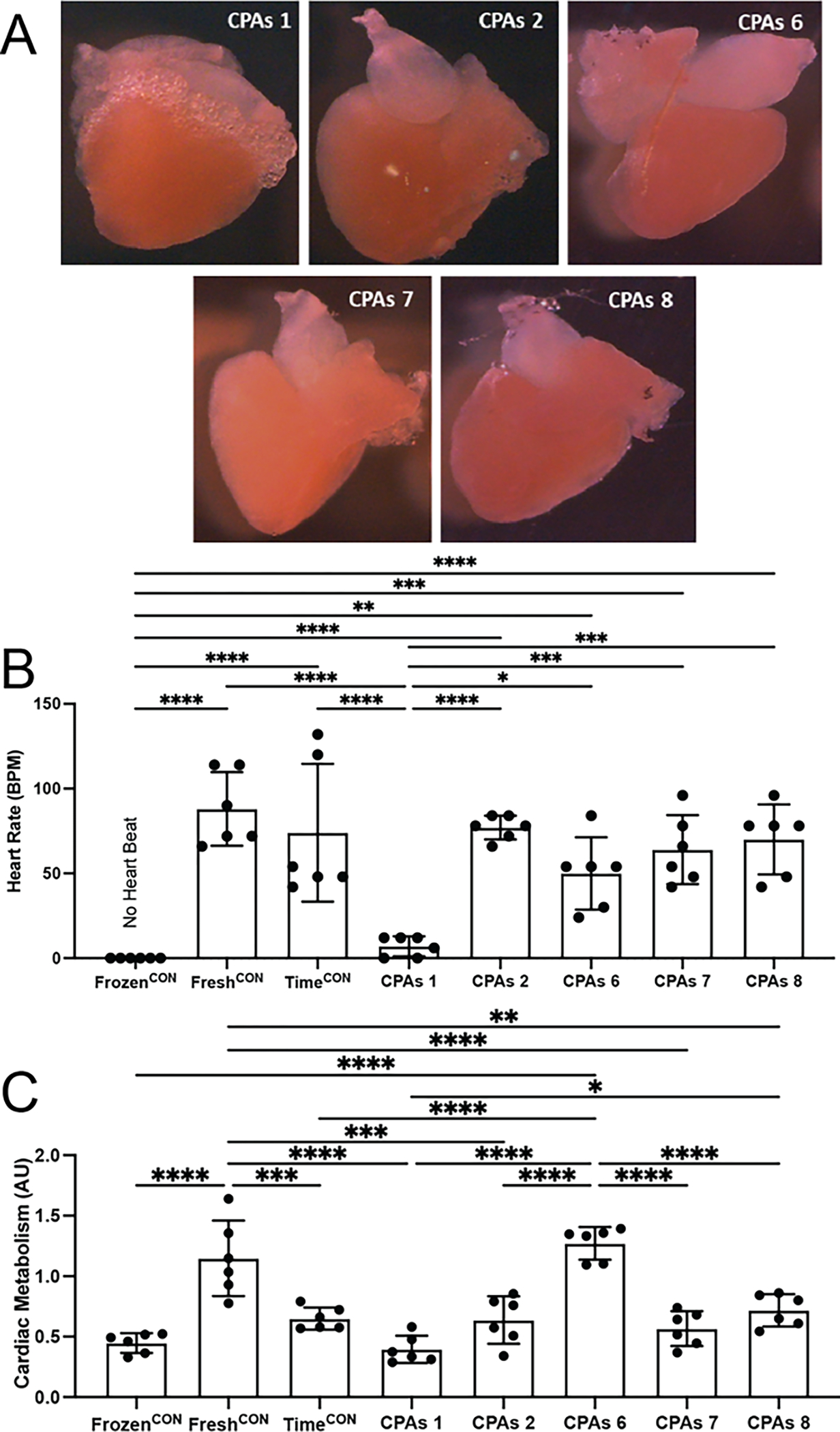 Figure 3: