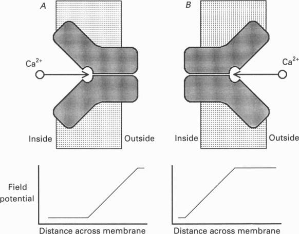 Fig. 17