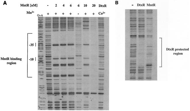 FIG. 5.