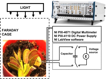 Figure 12.