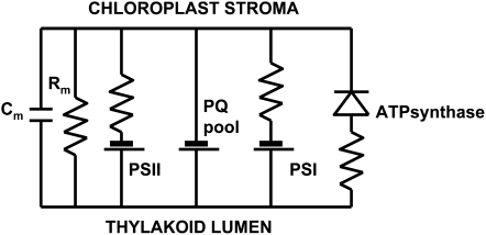 Figure 11.