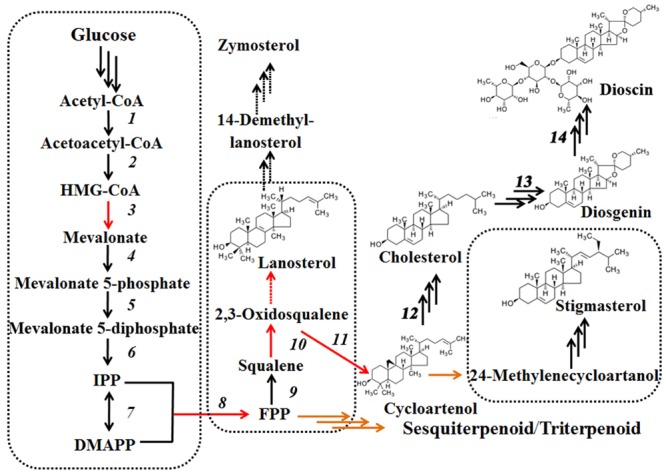 FIGURE 2