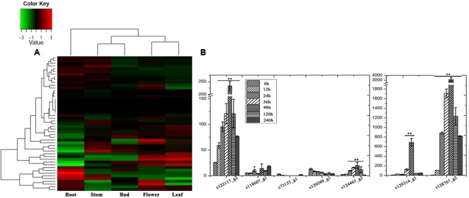 FIGURE 4