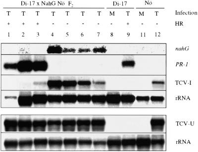 Figure 5.