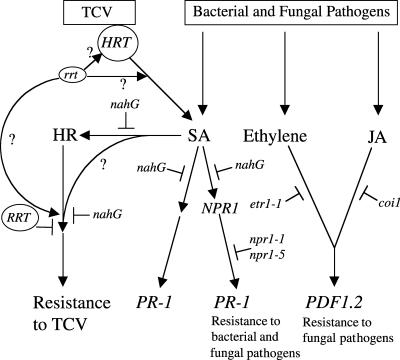 Figure 10.