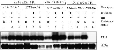 Figure 9.