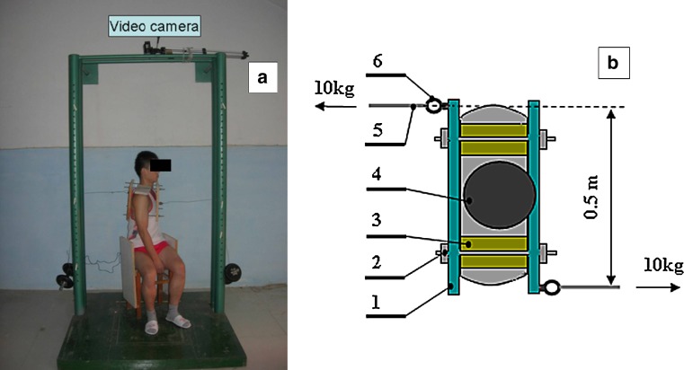 Fig. 1