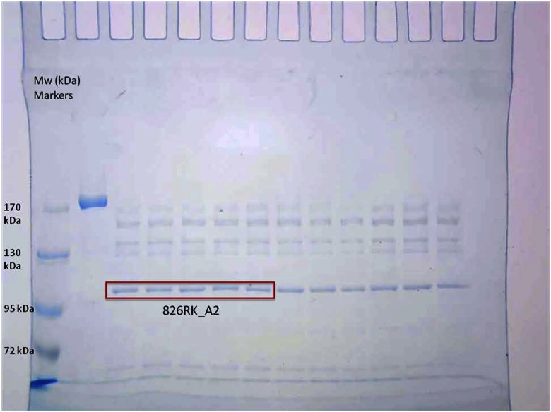 Figure 2.