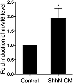 Fig. 7