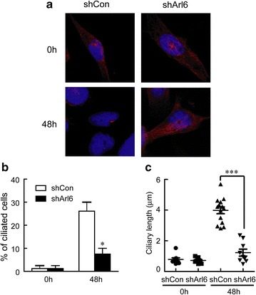 Fig. 6