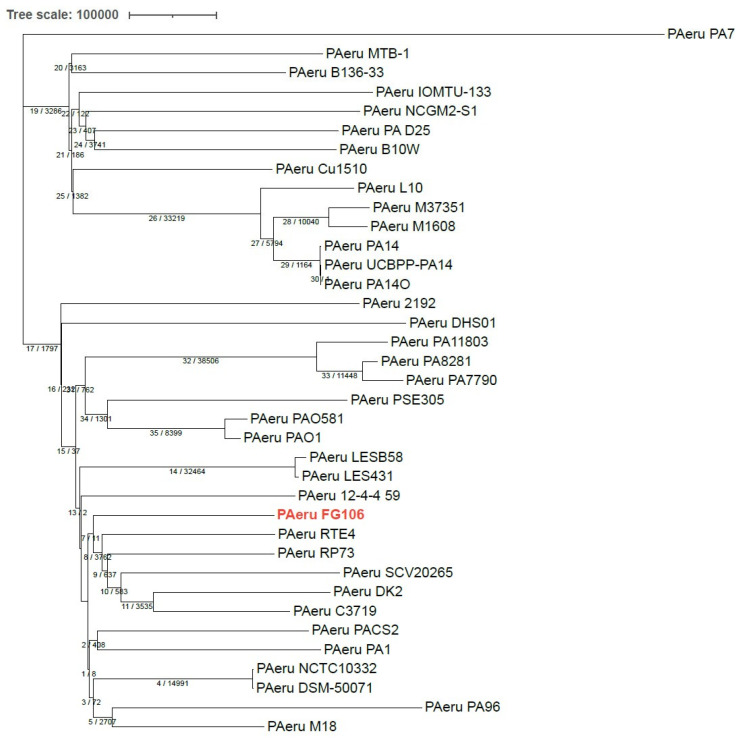 Figure 11