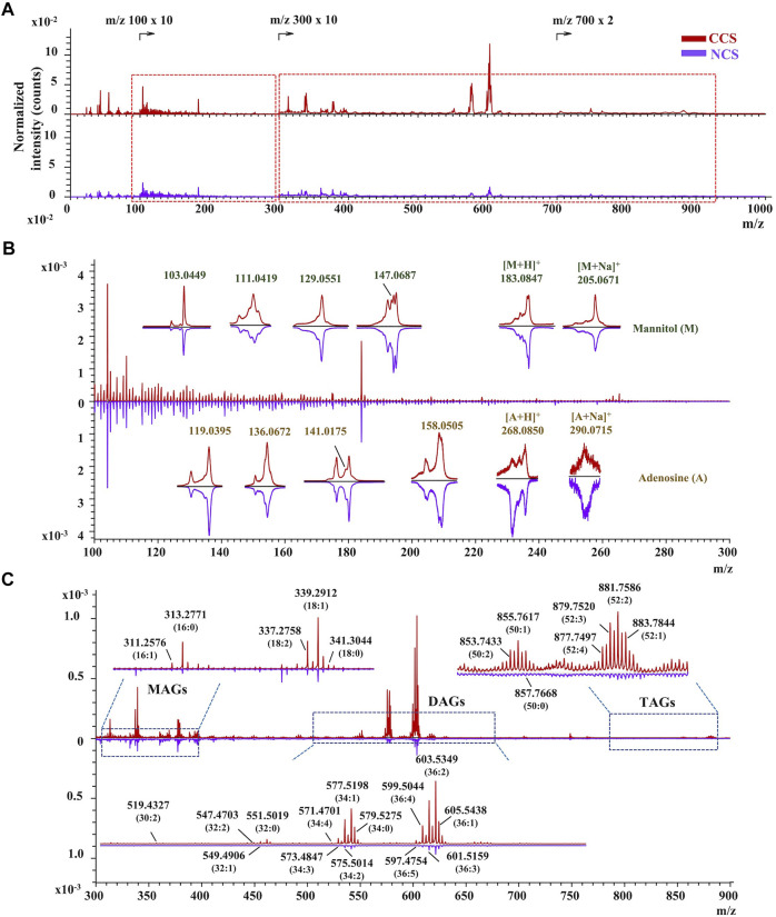 FIGURE 3