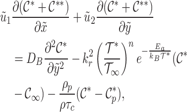 graphic file with name d33e1595.gif