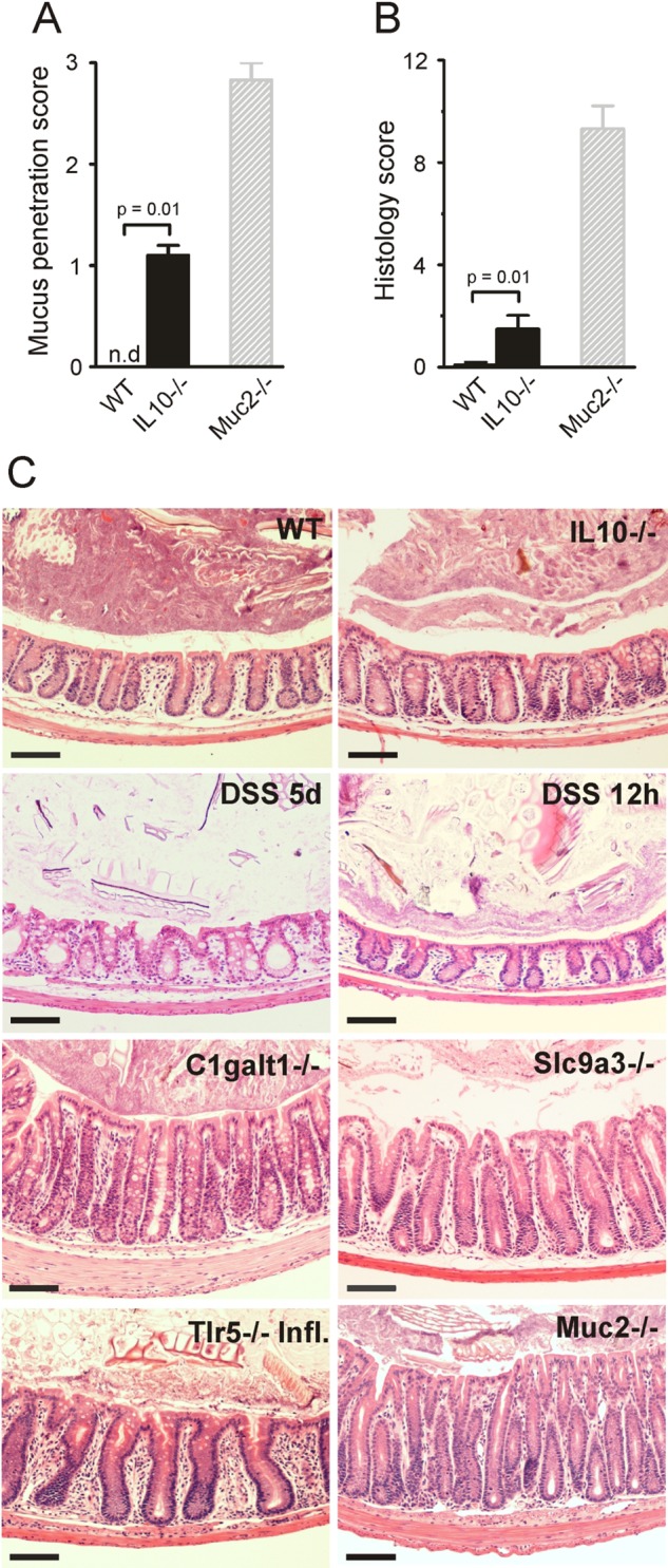 Figure 2