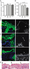 Figure 6