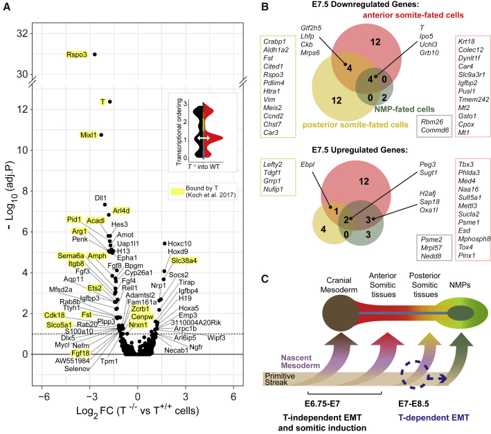 Figure 6