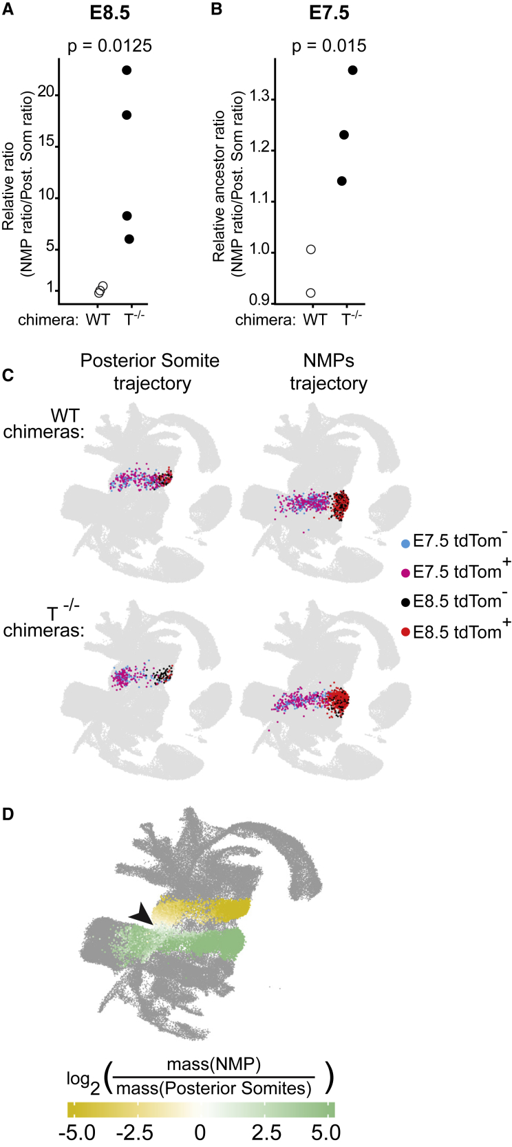 Figure 5