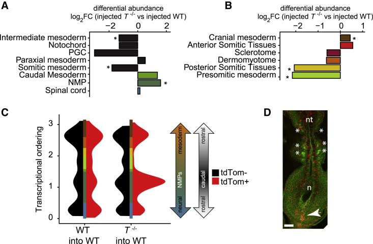 Figure 4