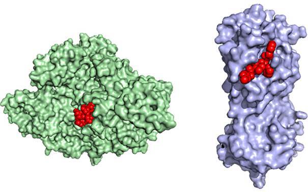 Fig. 3: