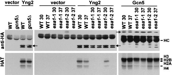 FIG. 8