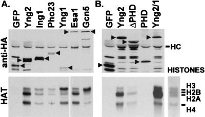 FIG. 6