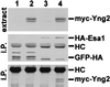 FIG. 9