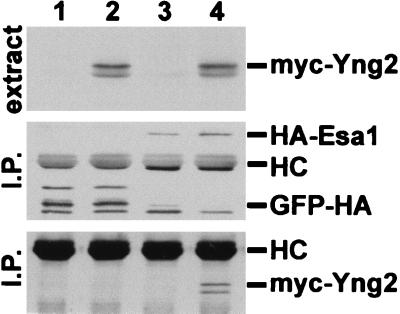 FIG. 9