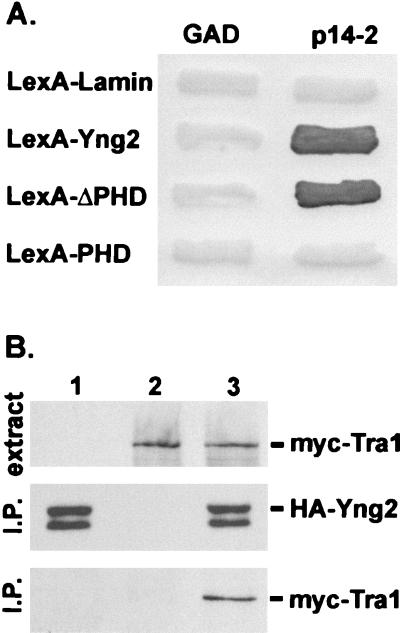 FIG. 5