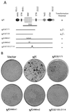 FIG. 3