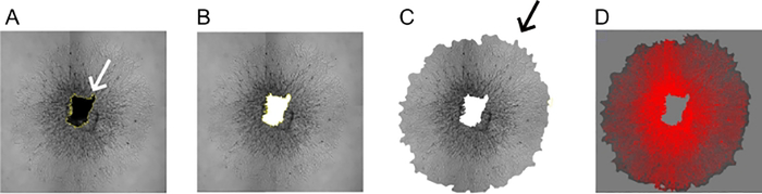 Figure 2: