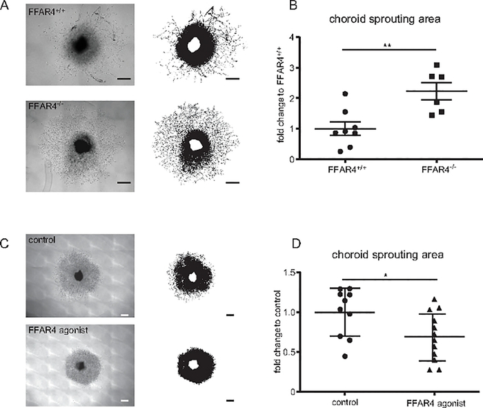 Figure 4: