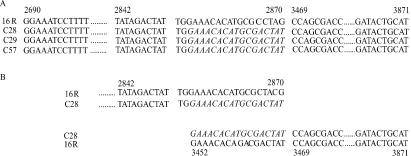 FIG. 3.