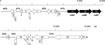 Fig 2