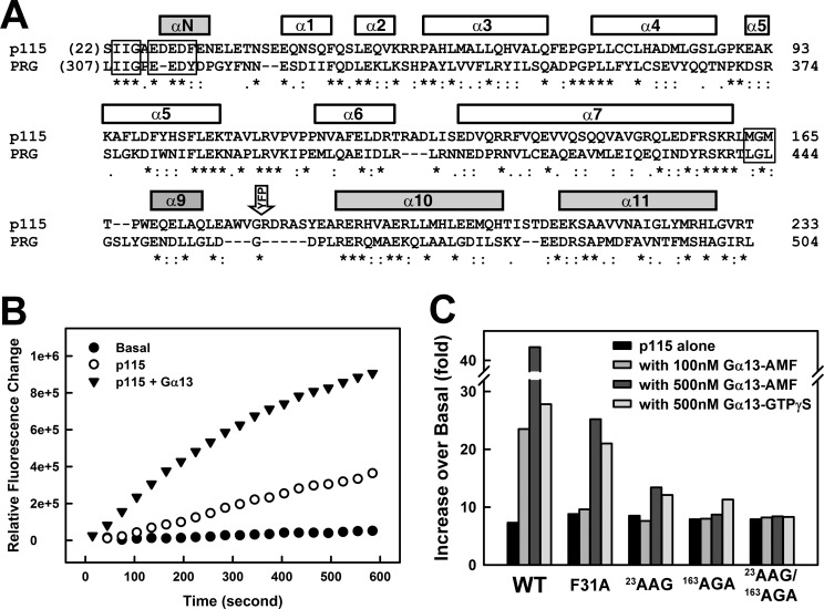 FIGURE 1.