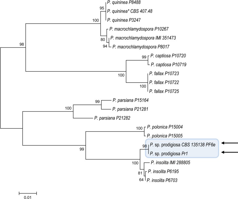 Fig 6