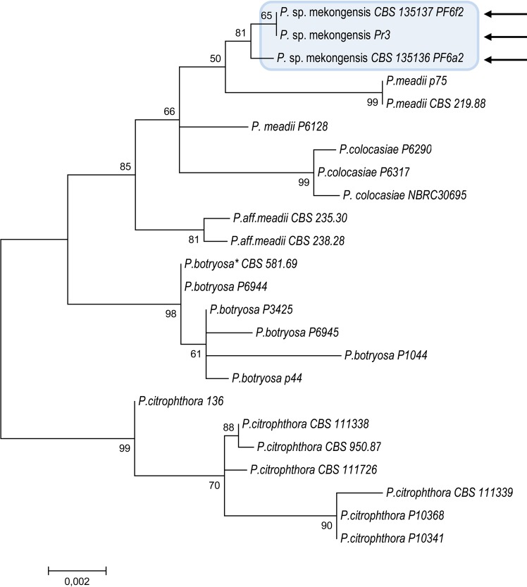 Fig 5