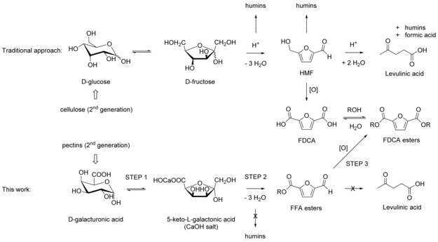 Scheme 1