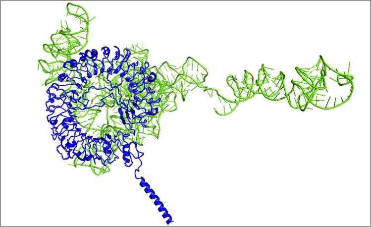 Fig. 8