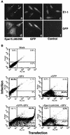 FIG. 2.