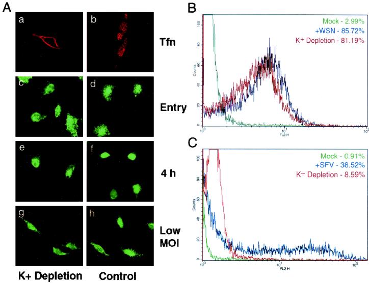 FIG. 6.